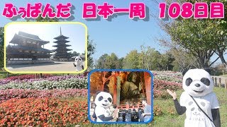 ふぅぱんだ　日本一周の旅　１０８日目（奈良県葛城市～大阪府太子町）