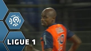 But Souleymane CAMARA (48') / Montpellier Hérault SC - EA Guingamp (2-1) -  (MHSC - EAG) / 2014-15