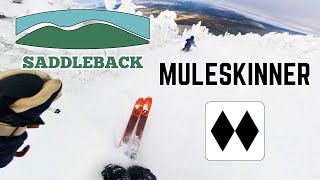 Skiing Muleskinner - The Hardest Trail at Saddleback?