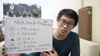 ちょむchan競馬１０～NHKマイルカップ 予想 2015