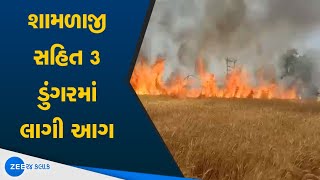 Arvalli Fire News : શામળાજી સહિત 3 ડુંગરમાં લાગી આગ | Shamlaji ડુંગર પર 3 દિવસથી લાગી છે આગ