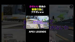 かわいい野良の害悪行為にブチギレｗｗ【APEX】#shorts