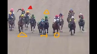 重賞回顧動画　根岸S　カラ馬に◎はブレーキ掛けられた　♯根岸S