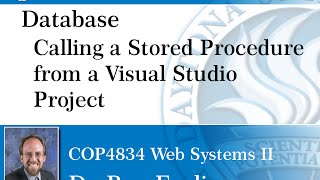 Database - Calling Stored Procedures from Visual Studio