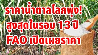 FAO เปิดเผยราคาน้ำตาลโลกพุ่งสูงสุดในรอบ13ปีผู้ผลิตรายใหญ่ไทย-อินเดียได้รับผลกระทบ