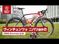 ヴィンチェンツォ・ニバリ選手のTREK Émonda SLR