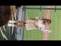 20220923 uni girl 芮絲 羅薩