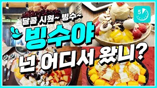 빙수야 넌 어디서 왔니? 팥빙수