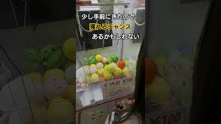 クレーンゲームを1回やったら少し手前に動いたから獲れるかもしれない #shorts #shortvideo #tiktok #games #challenge #クレーンゲーム