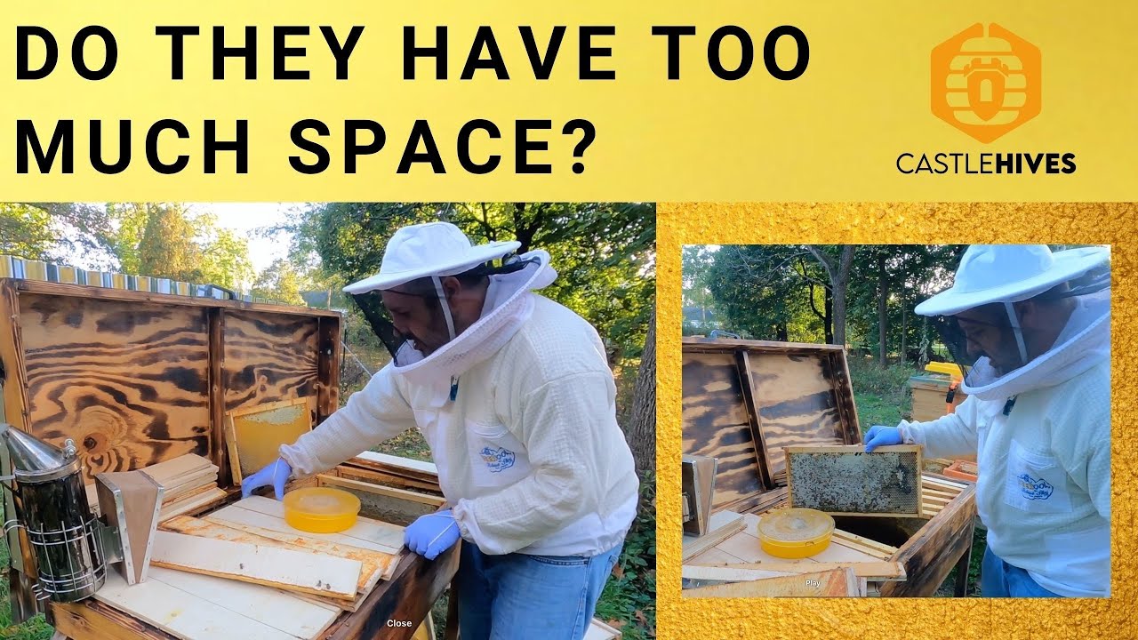 #beekeeping Condensing Space In The Horizontal Hives - YouTube