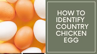 நாட்டு கோழி/முட்டை/ How to identify original country chicken eggs