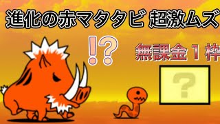 【にゃんこ大戦争】進化の赤マタタビ 超激ムズ 無課金１枠