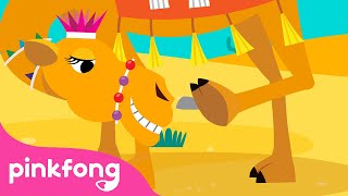 🐫Le Chameau | Chansons d'Animaux | Pinkfong Baby Shark en français ! Chansons pour Enfants