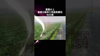 嘉義水上嘉鹿公路旁三角窗美農地