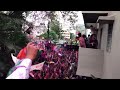 satej d patil सतेज उर्फ बंटी पाटील विजय मिरवणूक गोकुळ winning rally