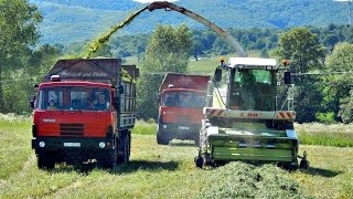 PD Dobrá Niva - Senáže 2015 - 3x JCB Fastrac, 2x Claas Jaguar, 4x Tatra 815