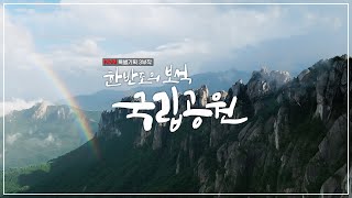 [특집] 한국 방송 최초!! 국립공원 55년 생태계 영상보고서 / 압도적이고 경이로운 영상미 / 한반도의 보석 국립공원 1부 '산' Full.ver