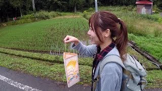 巨大油揚げ！？幻想的な狐の夜祭りに遊びに行ってきた！