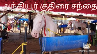 ஆசிய கண்டத்திலேயே இரண்டாவது மிகப்பெரிய குதிரை சந்தை நடைபெறும் இடம் அந்தியூர். குருநாத சுவாமி கோவில்.