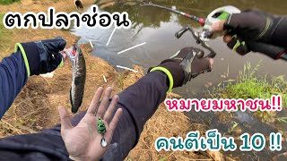 ตกปลาช่อน หมายมหาชน!! คนตีมากมาย แก้เกมง่ายๆด้วยกบยางดำน้ำ!! | ปลาช่อนข้างทาง