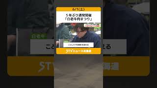 ５年ぶり通常開催 「白老牛肉まつり」 白老牛ほか道内外のブランド牛などを堪能　北海道白老町 #shorts