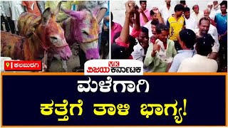 ಮಳೆಗಾಗಿ ಕತ್ತೆಗಳ ಮದುವೆ ಮಾಡಿದ ಗ್ರಾಮಸ್ಥರು, ಸಿಹಿ ಹಂಚಿ ಸಂಭ್ರಮ | Vijay Karnataka