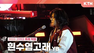 [230522 고려대학교 대동제] 흰수염고래 - YB | 4K 직캠