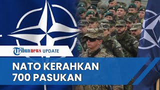 NATO Kerahkan 700 Pasukan ke Kosovo Seusai Terjadi Bentrok dengan Warga Serbia, 30 Tentara Luka