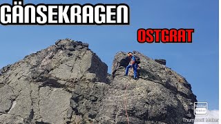 Gänsekragen Ostgrat/ Stubaier Alpen