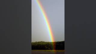 Spectrum | Wikipedia audio article