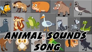 Animal Sound Song | These Are The Sounds That Animals Make |Rhymes By PlayTime