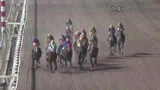 競馬 第49回ハイセイコー記念(S2) 2016.11.16