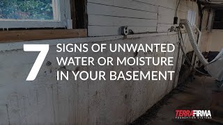 7 Signs of Unwanted Water or Moisture in Your Basement