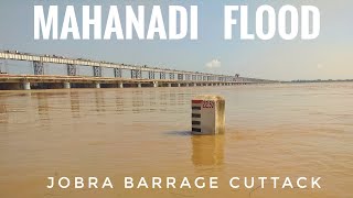 FLOOD IN MAHANADI || JOBRA BARRAGE || NARAJ || CUTTACK