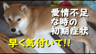 犬が『愛情不足』になっている時の初期症状４つ！早めに気付いて適切な対処を！