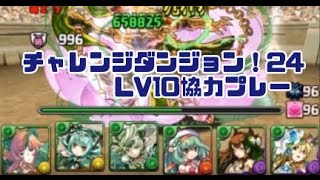 【パズドラ】 チャレンジダンジョン！24 LV10協力プレー  緑龍契士・シルヴィx覚醒フレイヤ