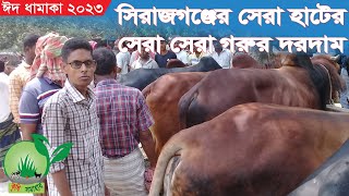 79-সিরাজগঞ্জের রতনকান্দি হাটে কোরবানির সেরা মানের বড় ও মাঝারি গরুর দরদাম। ঈদ ধামাকা 2023।