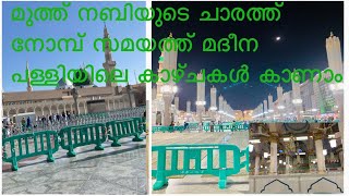 മദീന പള്ളിയിലെ കാഴ്ചകൾ കാണാം /Al Medina Al Munawwarah/Malayalam vlog