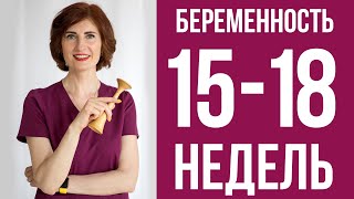 Второй триместр беременности: что происходит в 15-18 недель?