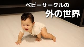 【生後8ヶ月】ベビーサークルの外で自由にさせてみました