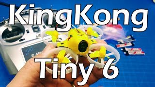 KingKong Tiny 6