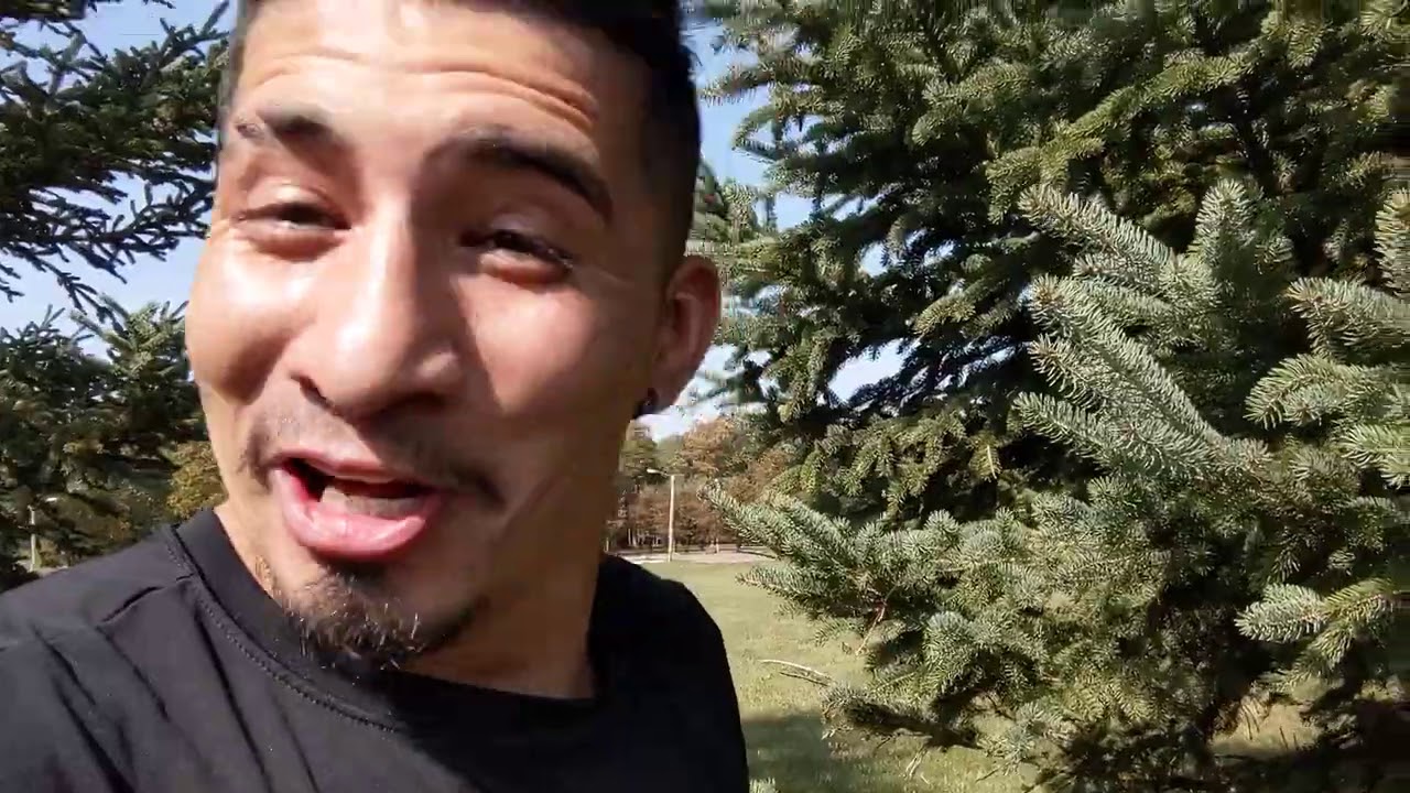 Pinon Nuts ёяшвёяшвёяшв Youtube