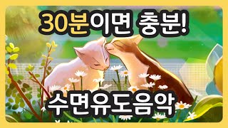 30분안에 깊은 수면가능 음악 / 잠잘때 듣는 음악 / 불면증치료 / 잠잘오는음악 /수면유도 / 수면음악 / 잠잘때 듣는 음악 / 불면증퇴치