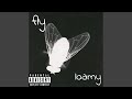 fly