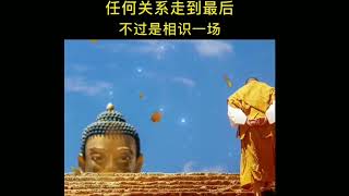 任何关系走到最后 不过是相识一场#禅悟人生 #佛说