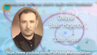 Bakir Hashimov - Zabul Segah