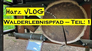 Walderlebnispfad - Teil 1 (2022)