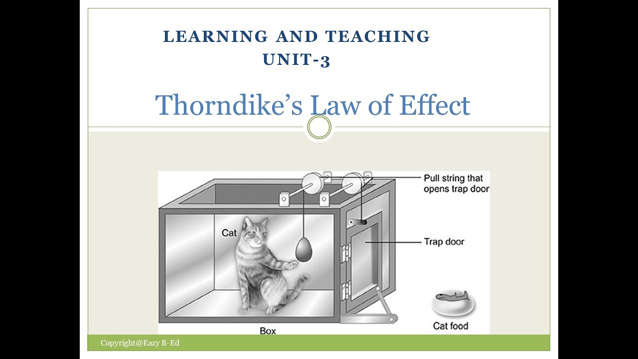 Thorndike Law Of Effect / Thorndike's Law Of Effect - Trial And Error ...