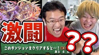 【パズドラ】このダンジョンをクリアするとガチャが引けるだと！？