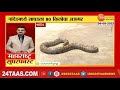 nanded python 10 फूट लांब 80 किलो वजन नांदेड शहरात भरवस्तीत आढळला मोठा अजगर zee24taas